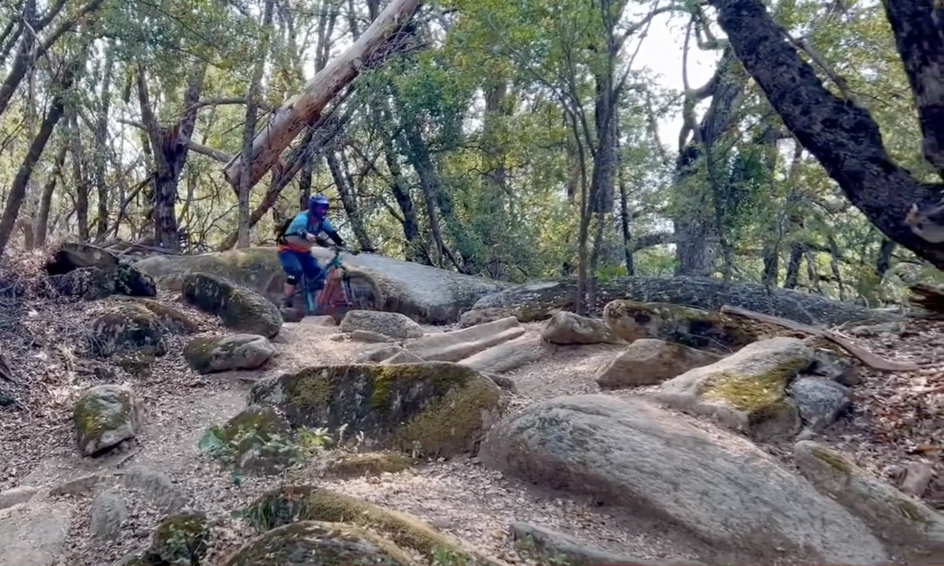Willow Creek Mountain Bike Trails Yosemite