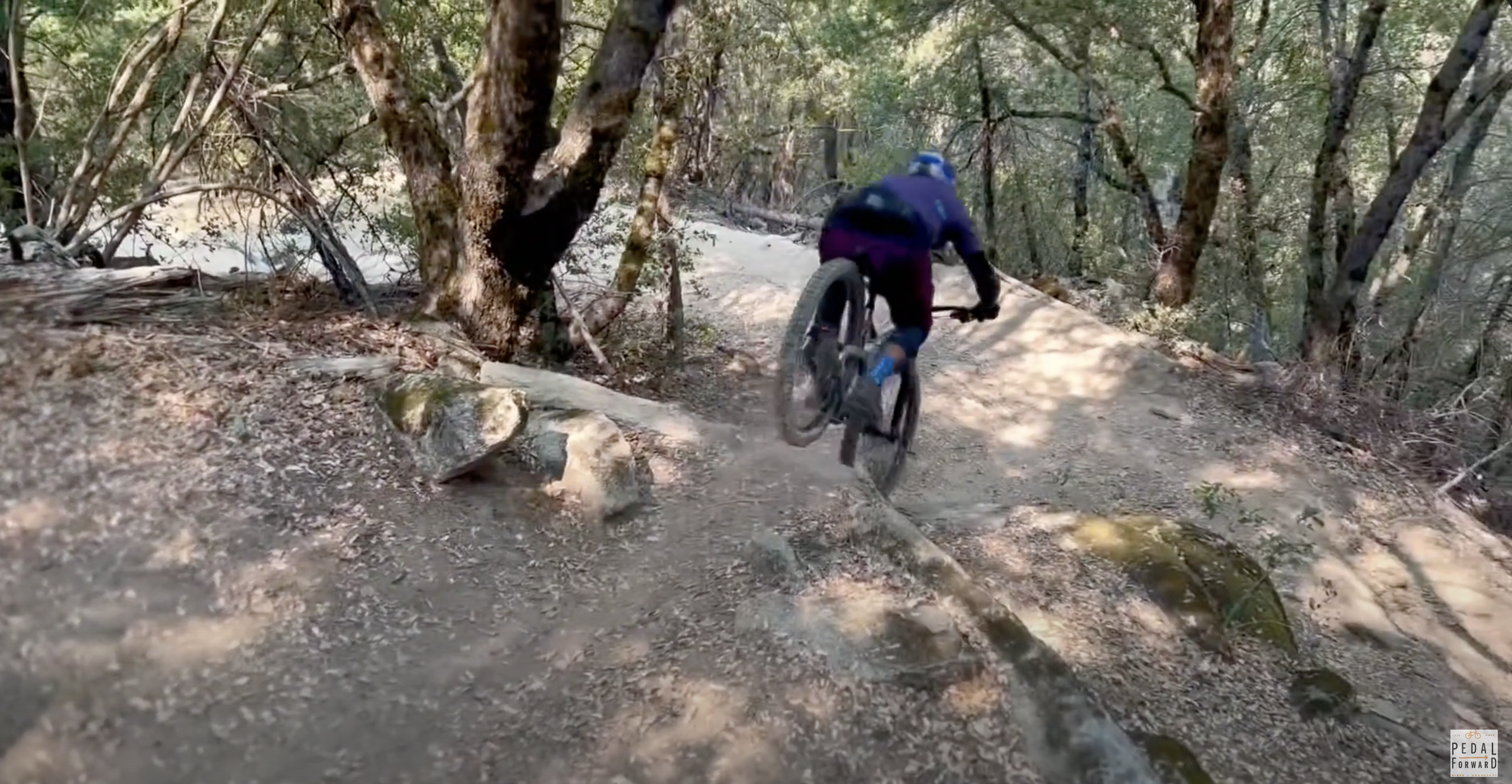 Willow Creek Gallery Image 3