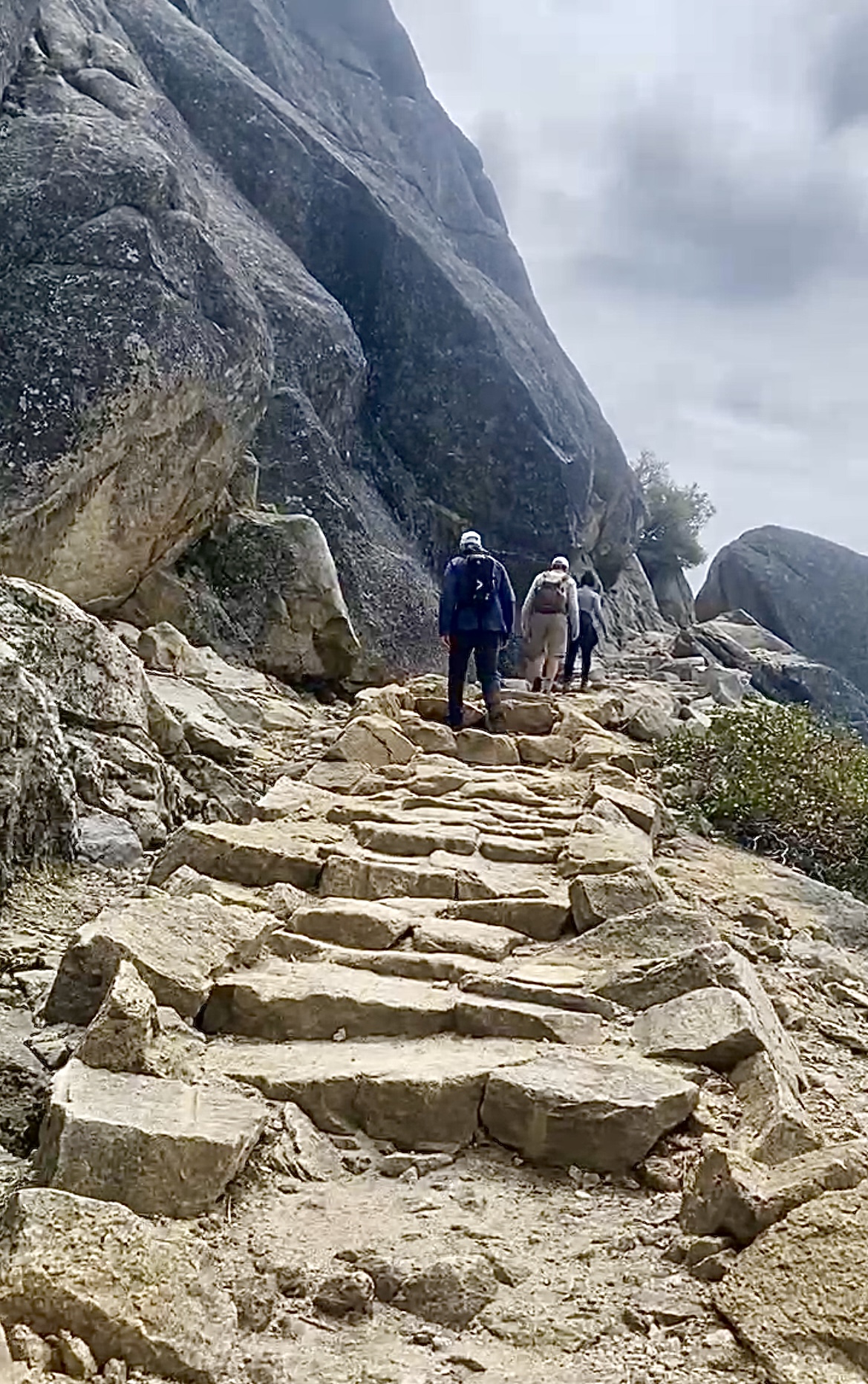 Chilnualna Falls Guided Hike Yosemite National Park